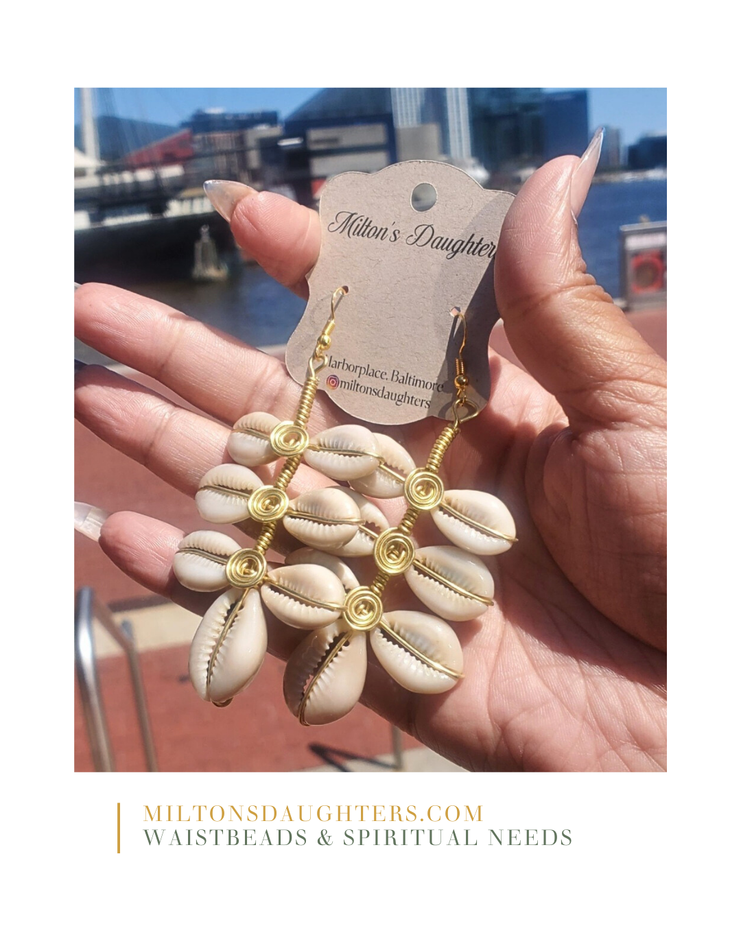 Cowrie Shell Earrings